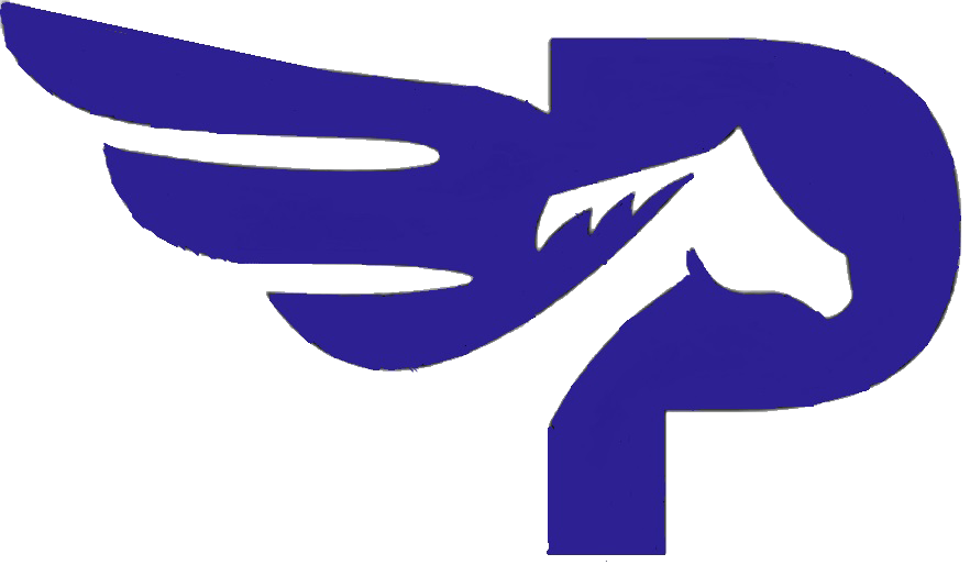 Parker Vibes Logo